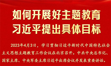 怎样开展主题教育习近平提出详细目的